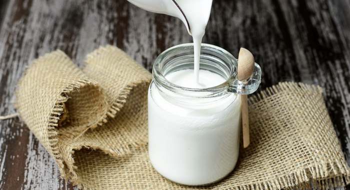Domaći Kefir za zdravlje creva – zašto su važne kefirove probiotske bakterije