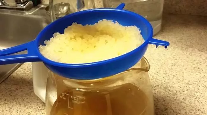 Vodeni kefir (Japanski kristali) - kako se pravi vodeni kefir Vodeni kefir (Japanski kristali) - kako se pravi vodeni kefir