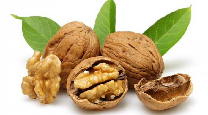 Domaći Orah (Juglans regia L.) – lekovitost oraha i orasi kao idealna hrana