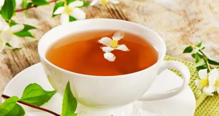 Jasmin (Jasminum officinale) - čaj od jasmina lekovito delovanje Jasmin (Jasminum officinale) - čaj od jasmina lekovito delovanje