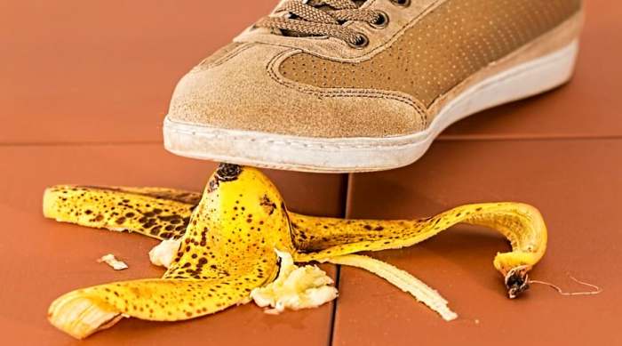 banana je kriva