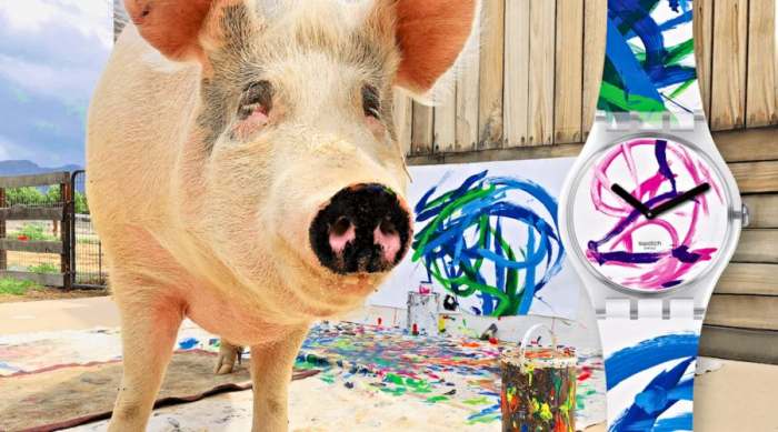 pigcasso