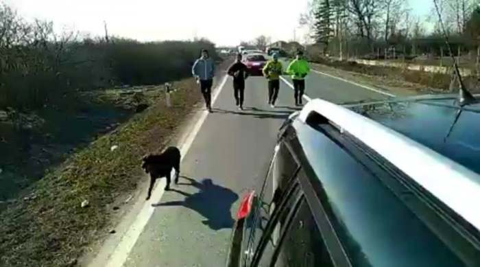 ultramaraton od beograda do zrenjanina