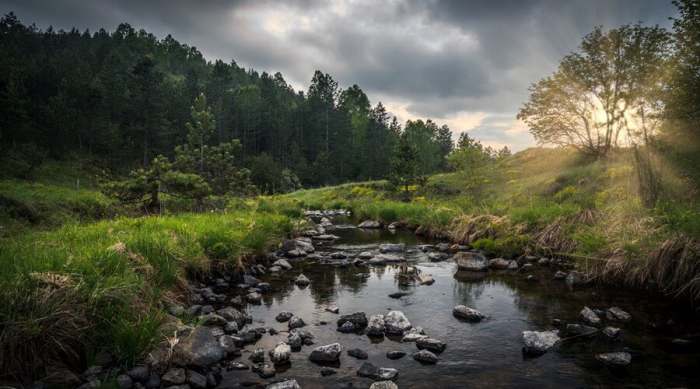Zlatibor leti