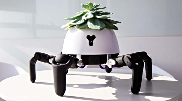 hexa planter