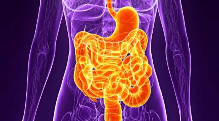 mezenterični panikulitis