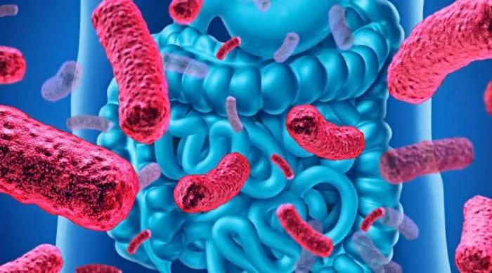 nuspojave probiotika