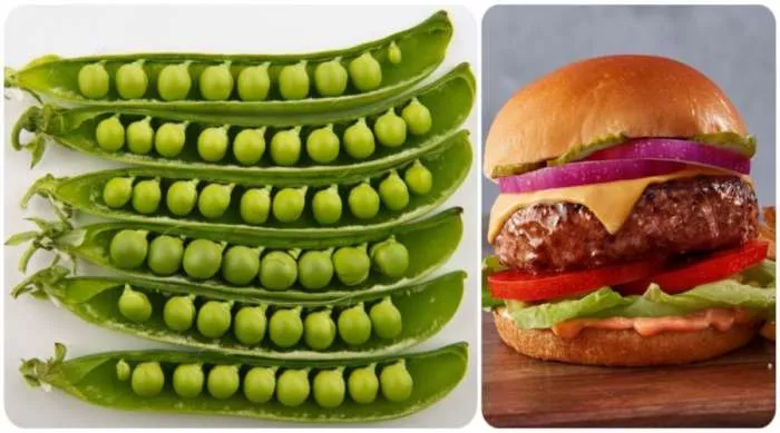 Beyond meat burger Moćni protein iz graška je sve popularniji u ishrani modernog čoveka Beyond meat burger Moćni protein iz graška je sve popularniji u ishrani modernog čoveka
