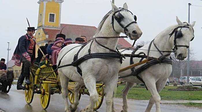 konjički turizam