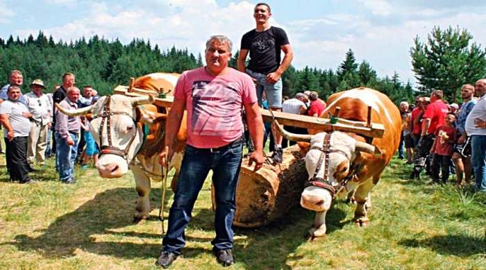 rabadžija sa zlatara