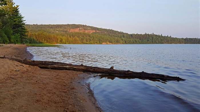 Algonquin Park 12