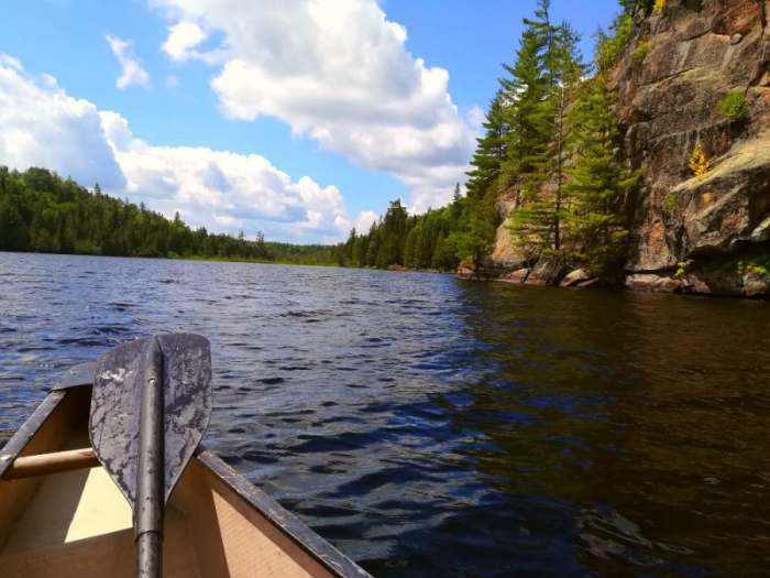 Algonquin Park 2