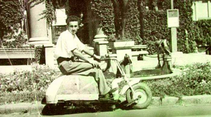 petar veličković