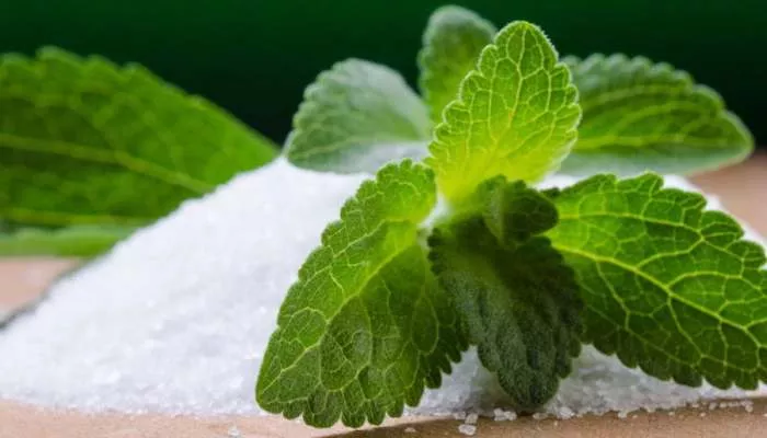 Da li je stevija zdravija zamena za šećer?