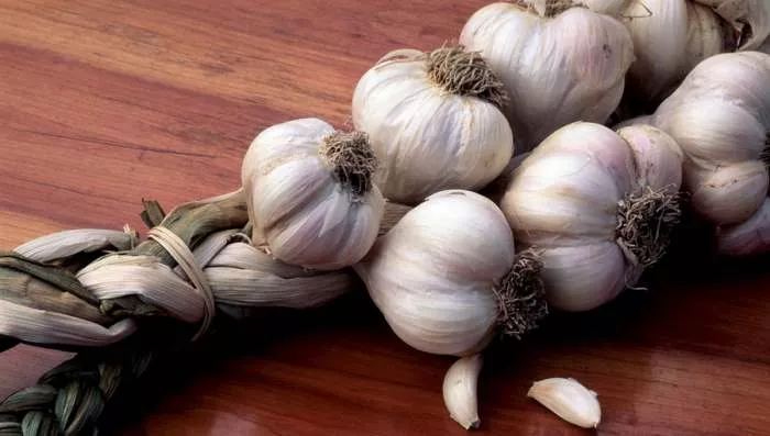 Beli luk kao lek za imunitet, krvni pritisak i holesterol? Beli luk kao lek za imunitet, krvni pritisak i holesterol?