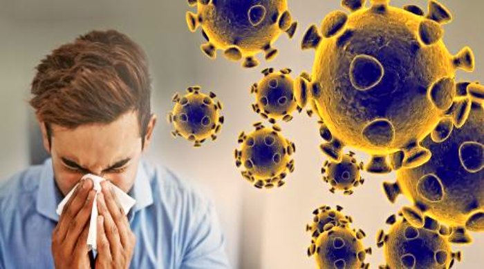 koronavirus