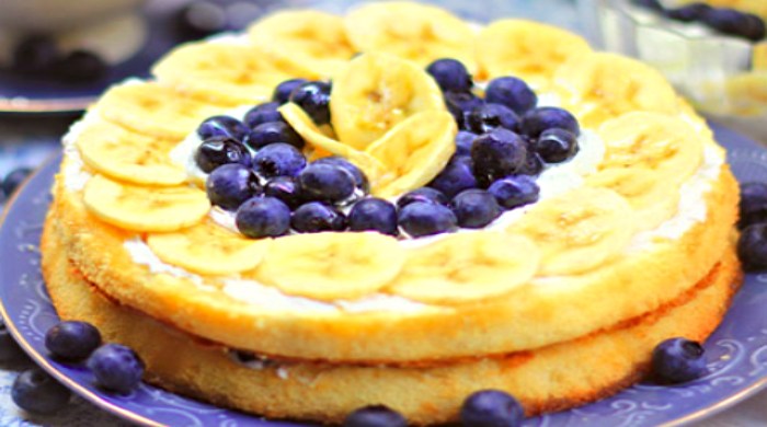 ledena torta sa borovnicama
