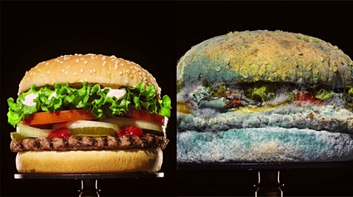 ubuđali hamburger