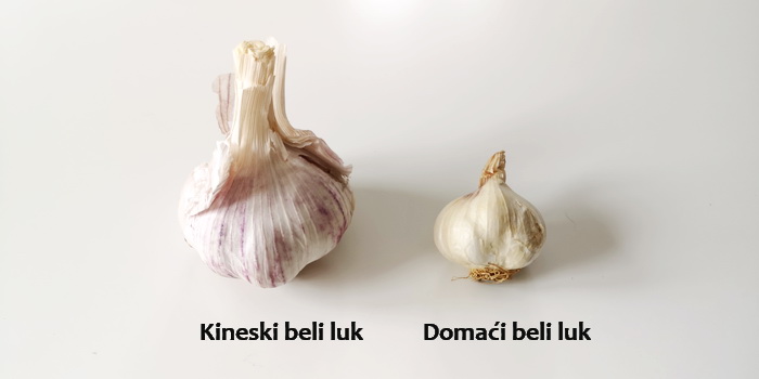 Kineski beli luk i domaći beli luk