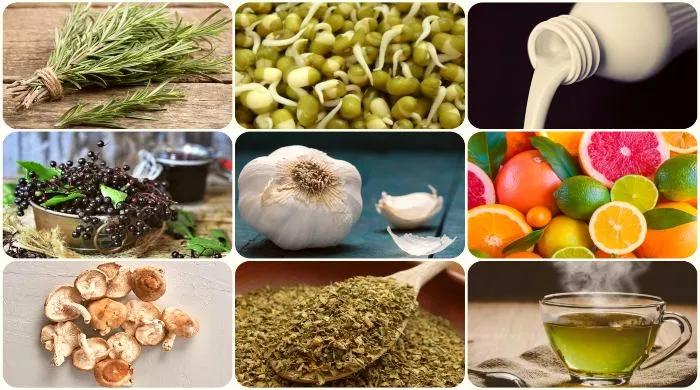 antivirusne namirnice