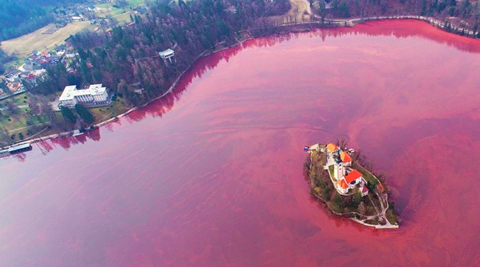 bledsko jezero