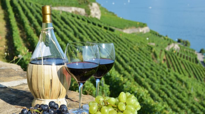 italijanska vina