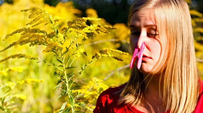 greške kod alergije