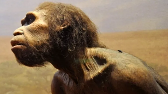 ostaci homosapijensa