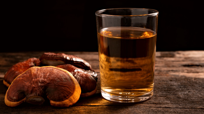 pivo sa gljivama