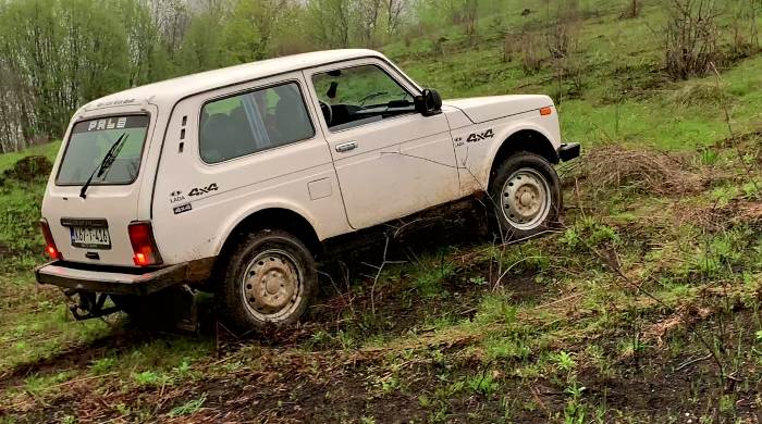 niva