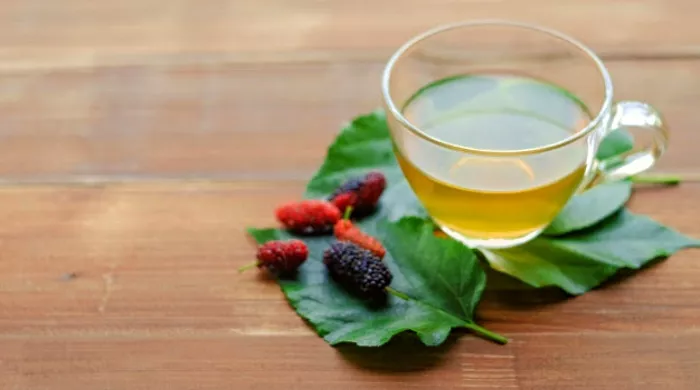 čaj od dudovog lista