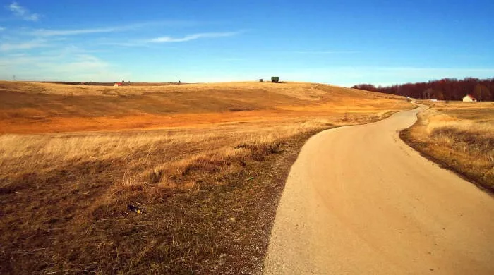 Asfaltiran put na planini Zlatibor