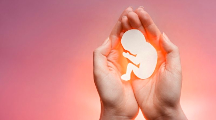zakon o abortusu