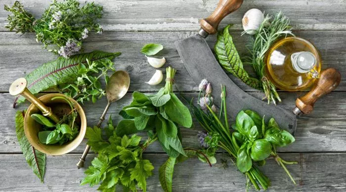 prirodni antibiotici