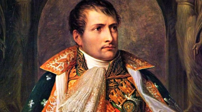 dnk napoleona