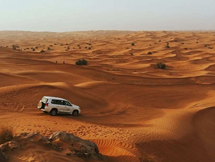 safari dubai