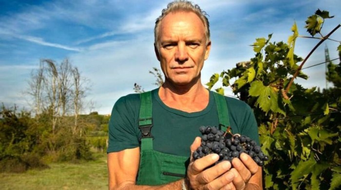 sting