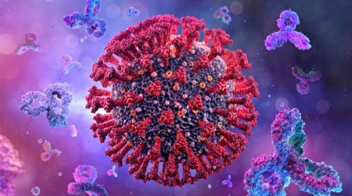 težak koronavirus