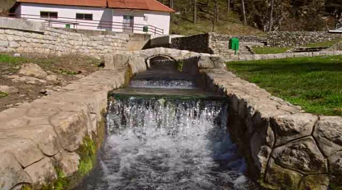 pribojska banja