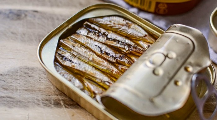 sardina