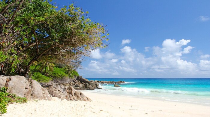 ANSE COCOS