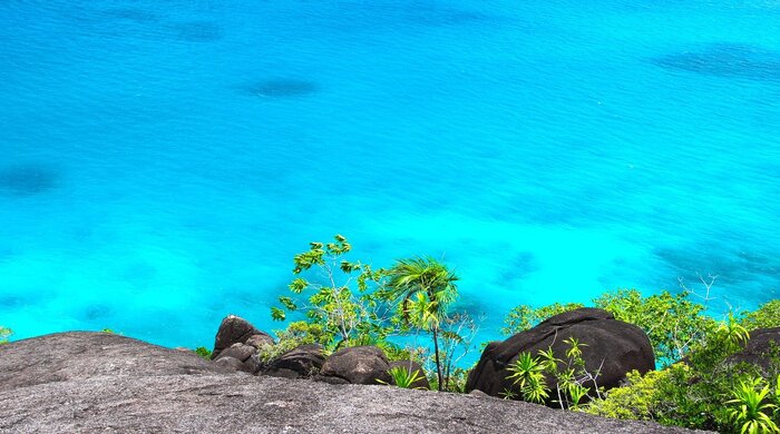 PETITE ANSE