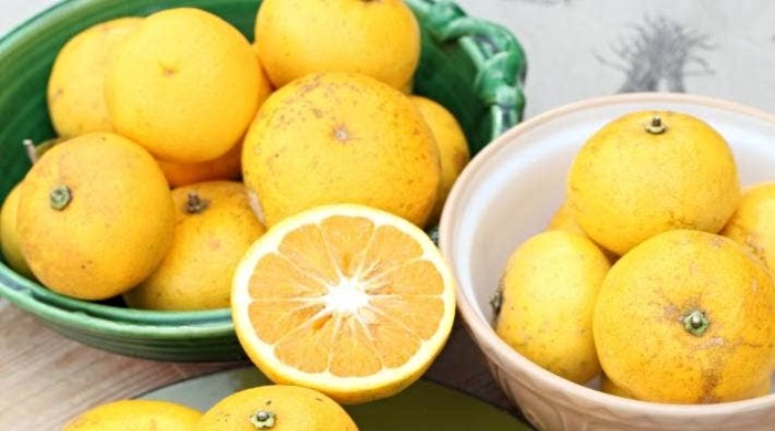 grejpfrut