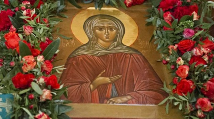 zimska gošća