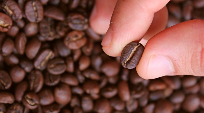 kafa kafa