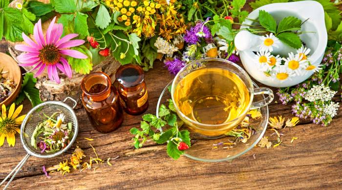 naturopatija