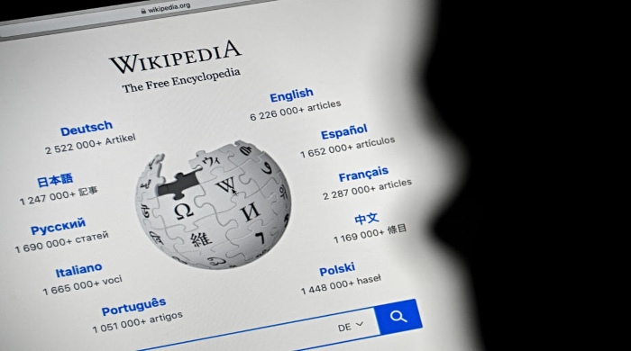 kineska domaćica