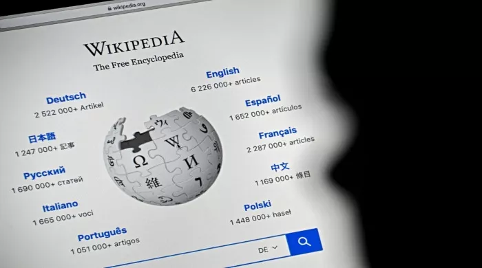 kineska domaćica
