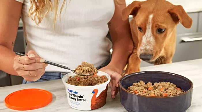 jedu hranu za ljubimce