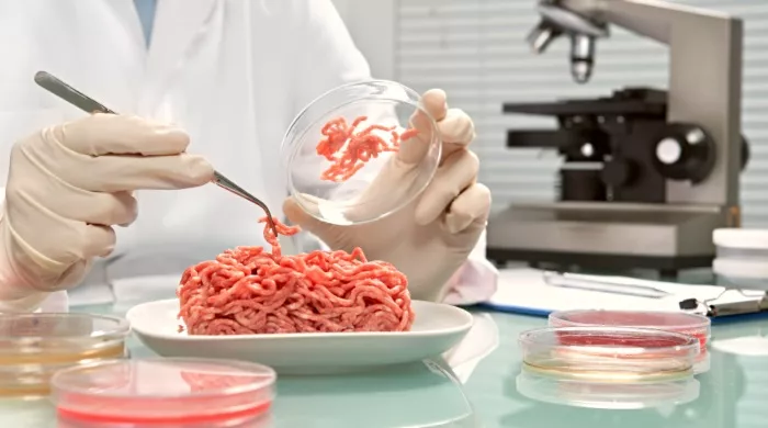 meso iz laboratorije